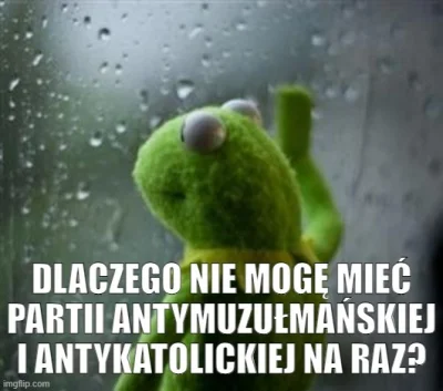 hermie-crab - #polityka #memy #humorobrazkowy #polska #bekazreligii #pytaniedoekspert...