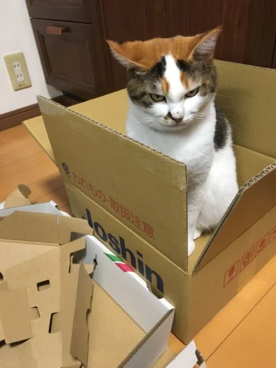 leonid_bialkow - @annlupin: zastanawiam siem kiedy władysław komendarek został kosmit...