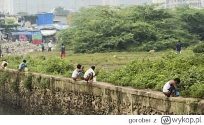 gorobei - @bobsley33: