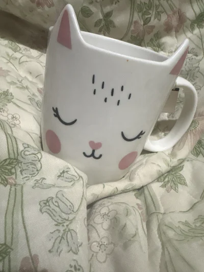 zssrauamaiw - #przegryw mam ładny kubek z herbatką se