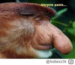 fudiasz3k - @satukimlawz