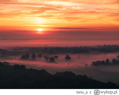 belu_p - Rędzin to chyba najspokojniejsze miejsce we Wrocławiu.

#wroclaw #fotografia...