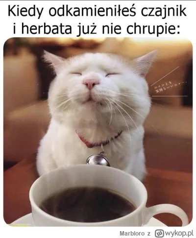 Marbloro - #memy  #gownowpis #koty #kawa #herbata #gotujzwykopem #kuchnia