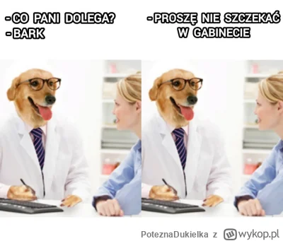 PoteznaDukielka - #heheszki #humorobrazkowy