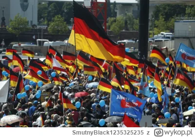 SmutnyBlack1235325235 - Piękny marsz, nawet flagi są ( ͡° ͜ʖ ͡°)
#marsz #marszmiliona...