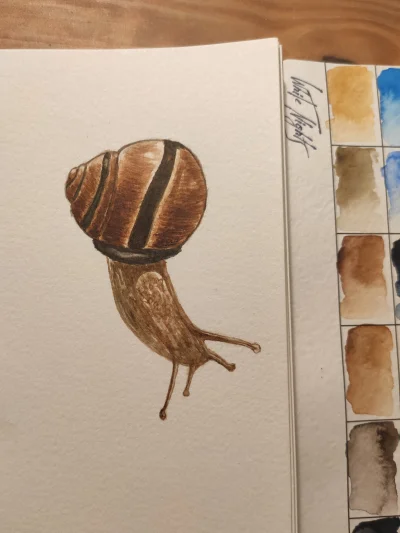 tabula_okrasa - Pan Ślimak
Kiedyś w rodzinie nazywaliśmy tak znajomego, co miał przyg...