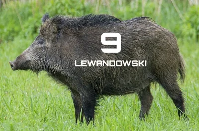 GreckiSamuraj - GOOOLAZOO ROBERDZIK X2 VAMOS! bez spalonego jednak ( ͡° ͜ʖ ͡°)
#mecz ...