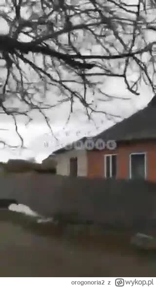 orogonoria2 - Sumy 2022