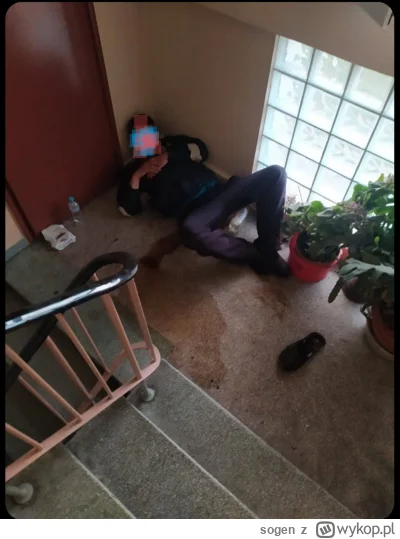 sogen - @Dominek: @jazdaniebieski2023 @jazdaniebieski2023 @zimowyporanek

Ehh dla nie...