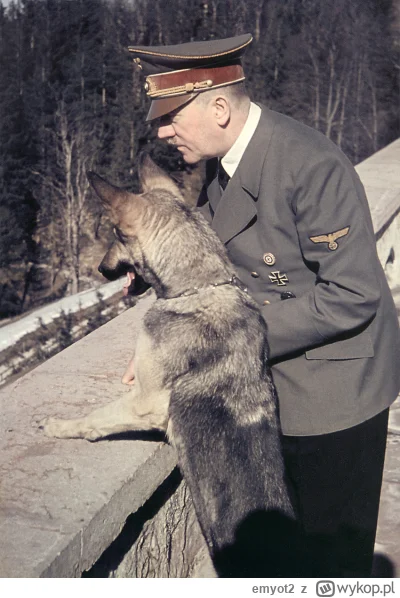 emyot2 - Osoby posiadający psy to dobrzy ludzie i mają dobre serca.

#psy #psiarze #a...