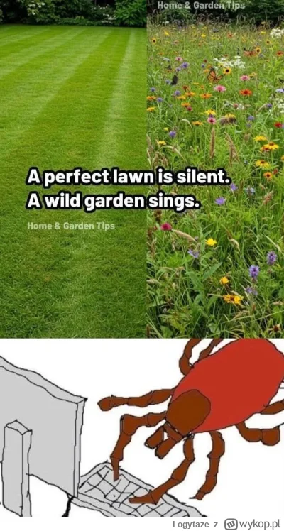 Logytaze - Dawno nie widziałem śmiesznego mema to się z wami podzielę.

#memy #hehesz...