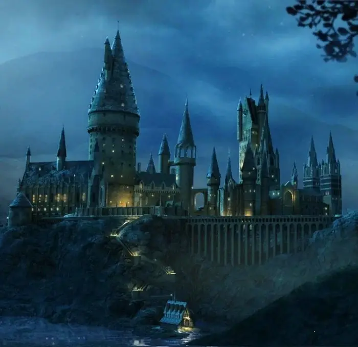 ufoLatajace - See you next time
#harrypotter