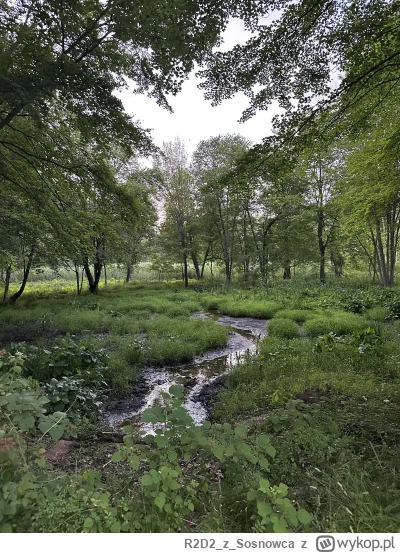 R2D2zSosnowca - @R2D2zSosnowca czerwcowe