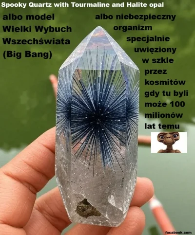 Wincencik - Tamże: '... Wolę taką perspektywę bo może to też oznaczać pulsujący wszec...