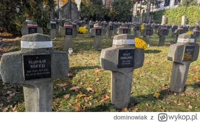 dominowiak - @dominowiak: 
3. Sekcja mogił żołnierzy Wojska Polskiego poległych w cza...