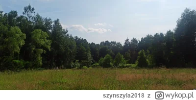 szynszyla2018 - #l-------------j kocham to. Cykanie swierszy, szum wiatru, upał. (｡◕‿...