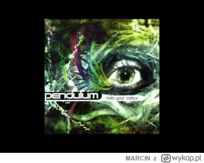 MARClN - Pendulum - Plastic World

Hold Your Colour
Breakbeat Kaos – BBK002LP
2005
UK...