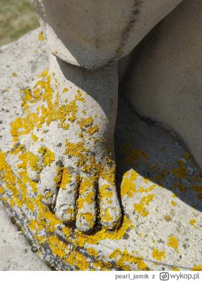 pearl_jamik - mmmmmm, stooopki

#stopyboners #stoopki