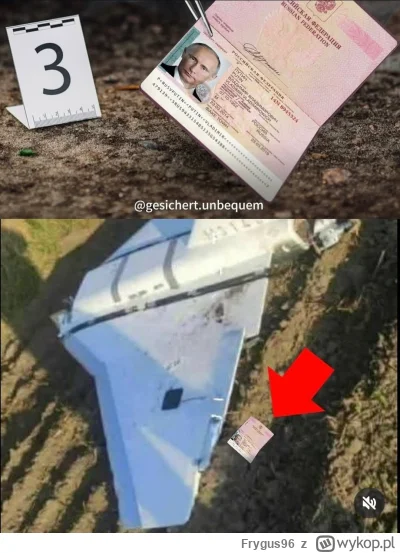 Frygus96 - #wojna #gownowpis