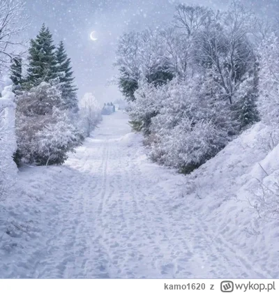 kamo1620 - Niedługo znowu opady śniegu 
Oby były wszędzie takie widoki ( ͡° ͜ʖ ͡°)
#h...