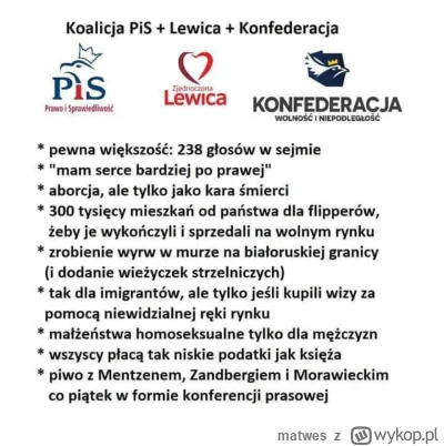 m.....s - #wybory #konfederacja #lewica #pis #heheszki #polityka