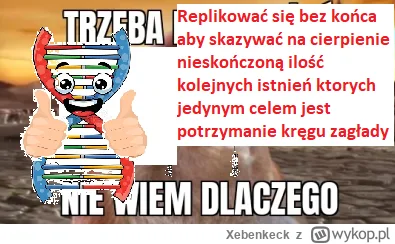 Xebenkeck - Sprawiedliwość nie jest okrutna, lecz tylko bezdusznie obojętna. To jedna...