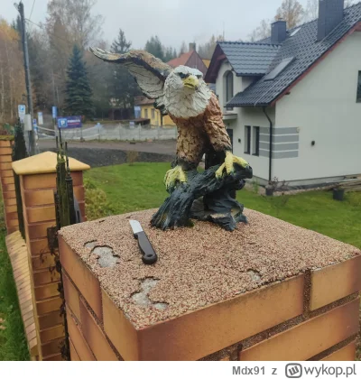 Mdx91 - Ktos odcial temu orlu skrzydlo (ಠ‸ಠ)
I zostawil narzedzie zbrodni ( ͡° ͜ʖ ͡°)...