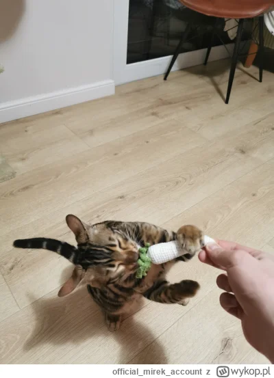 officialmirekaccount - @officialmirekaccount: #smiesznekotki
