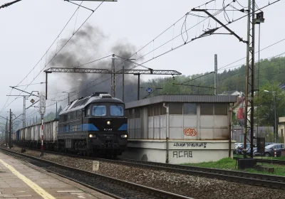 costamtenteges - #pociagi #kolej #fotografia #pociagiboners

ŁTZ TE109 w wersji Baure...