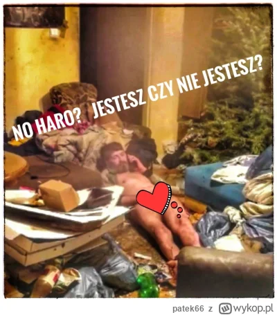 patek66 - #danielmagical #raszei #patostreamy