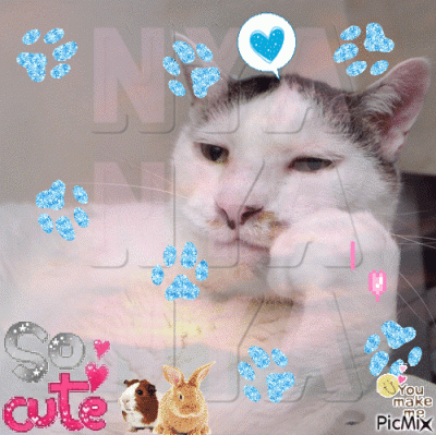 dywergent - dzisiaj bylby dobry dzien zeby...