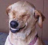 Andrzej_Tate - @zbychuzbychu1