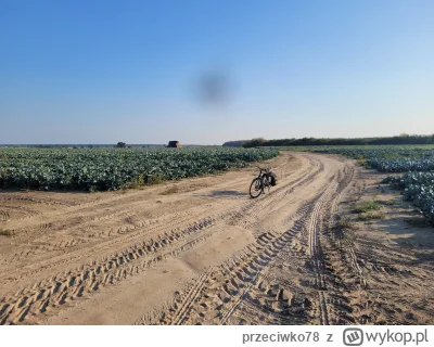 przeciwko78 - właśnie wróciłem z roweru. flixbusem z Gdańska do Warszawy i samochodem...