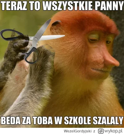 WezelGordyjski - #polskiedomy