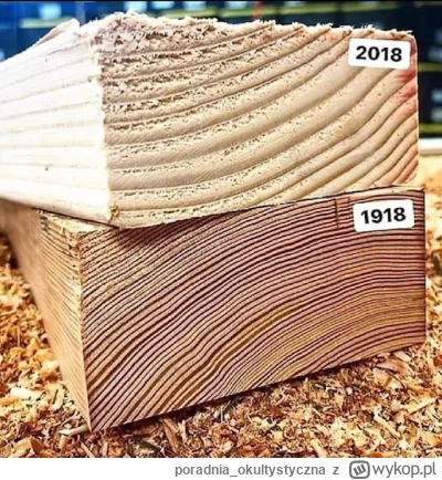 poradnia_okultystyczna - dobrze, ze deby mialy 150-200 lat, bo metoda to jedno a suro...