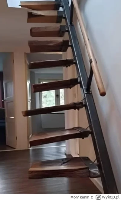 Moh1kanin - #stepujacybudowlaniec #heheszki