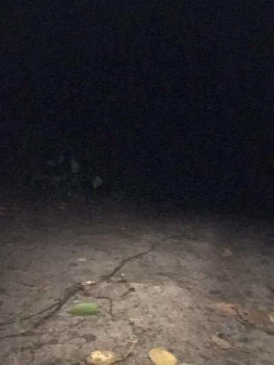 bartlomiej_rakowski - #spierdotrip mroczny bardzo w jakiś sposób…
#przegryw