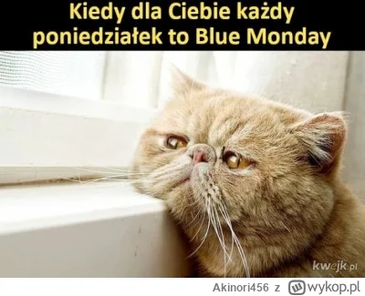 Akinori456 - Tyle w temacie...
Kolejny poniedziałek, kolejny depresyjny dzień pełen s...