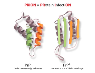 NiebedzieNietzschego - @theximon 

 [Priony] (https://https://pl.m.wikipedia.org/wiki...