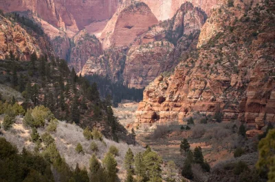 Badmadafakaa - Zion National Park, Utah, USA


#earthporn