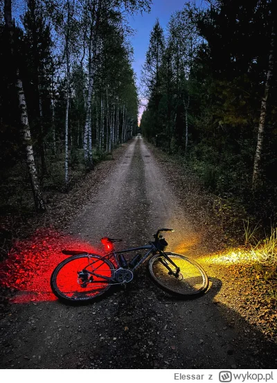 Elessar - 735 264 + 71 = 735 335

No srogo dziś było :D
Lasy błędowskie i zbieranie k...