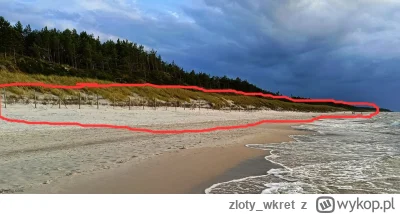 zloty_wkret - #morze #polskiemorze #baltyk 
Nie polaczku, tam w pokrzywy ci już nie w...