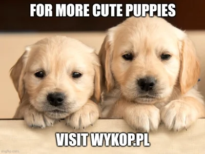 labla - #psy #psiarze #heheszki #pdk