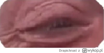 Drapichrust - @galopujacypasikonik