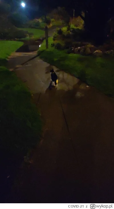 COVID-21 - Bez kaganca w publicznym parku!!! A co jak bedzie przechodzilo dziecko?!?!...