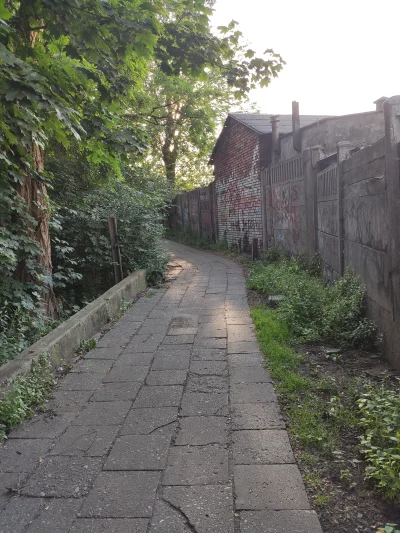 Soothsayer - @vieniasn: