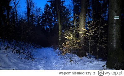 wspomnienieciszy - @obywatel_z: to zielony z przeleczy jugoeskiej na czarnego rycerza...