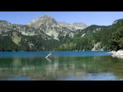 AlteredState - Nie wiem jak przegapiłem to info, ale zmarł Brian McBride - połowa due...