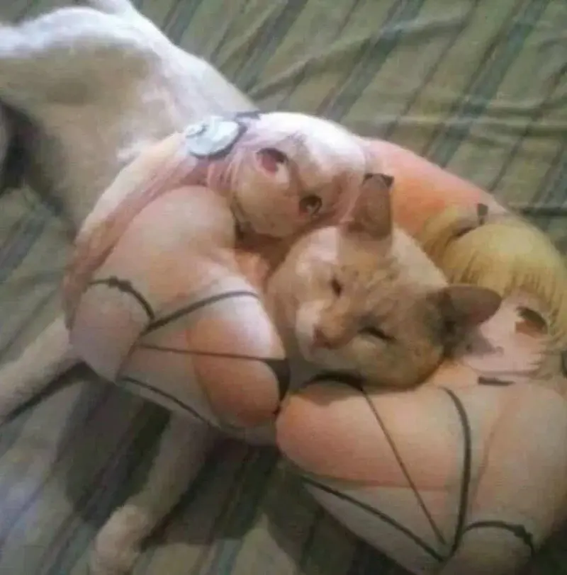 JatuArmy - Mhmmm wygodnie