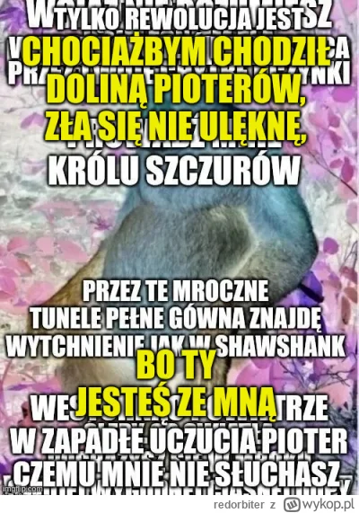 redorbiter - #konkursnanajbardziejgownianymemznosaczem